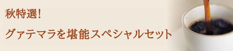 秋特選・グァテマラ珈琲スペシャルセット