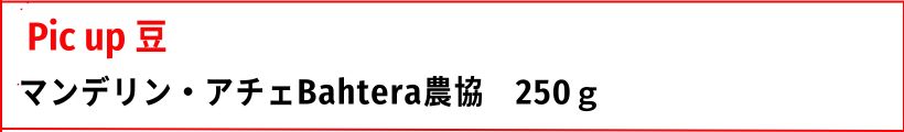 注目豆