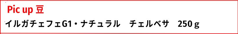 注目豆