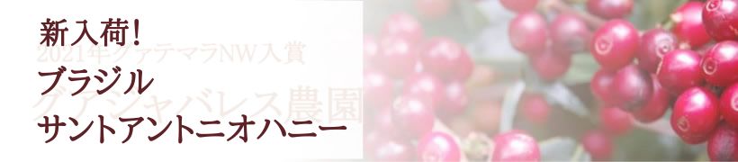 ブラジル・サントアントニオハニー