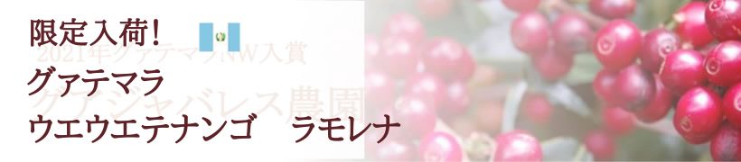 限定! グァテマラウエウエテナンゴラモレナ