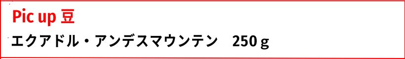 注目豆