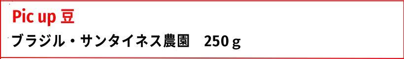 注目豆
