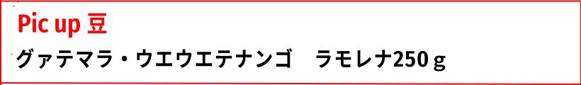注目豆